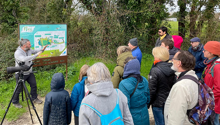 Animer une sortie ornitho